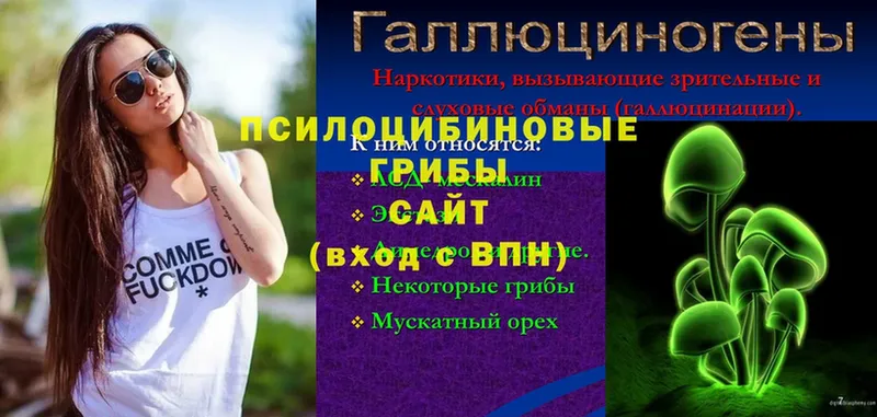 купить  цена  Вуктыл  Галлюциногенные грибы мицелий 